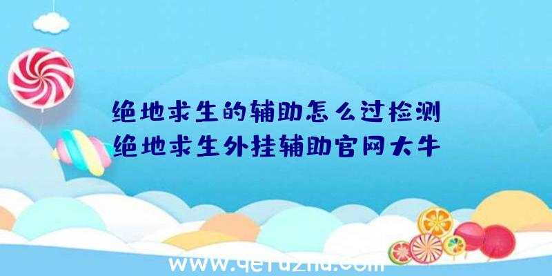 「绝地求生的辅助怎么过检测」|绝地求生外挂辅助官网大牛